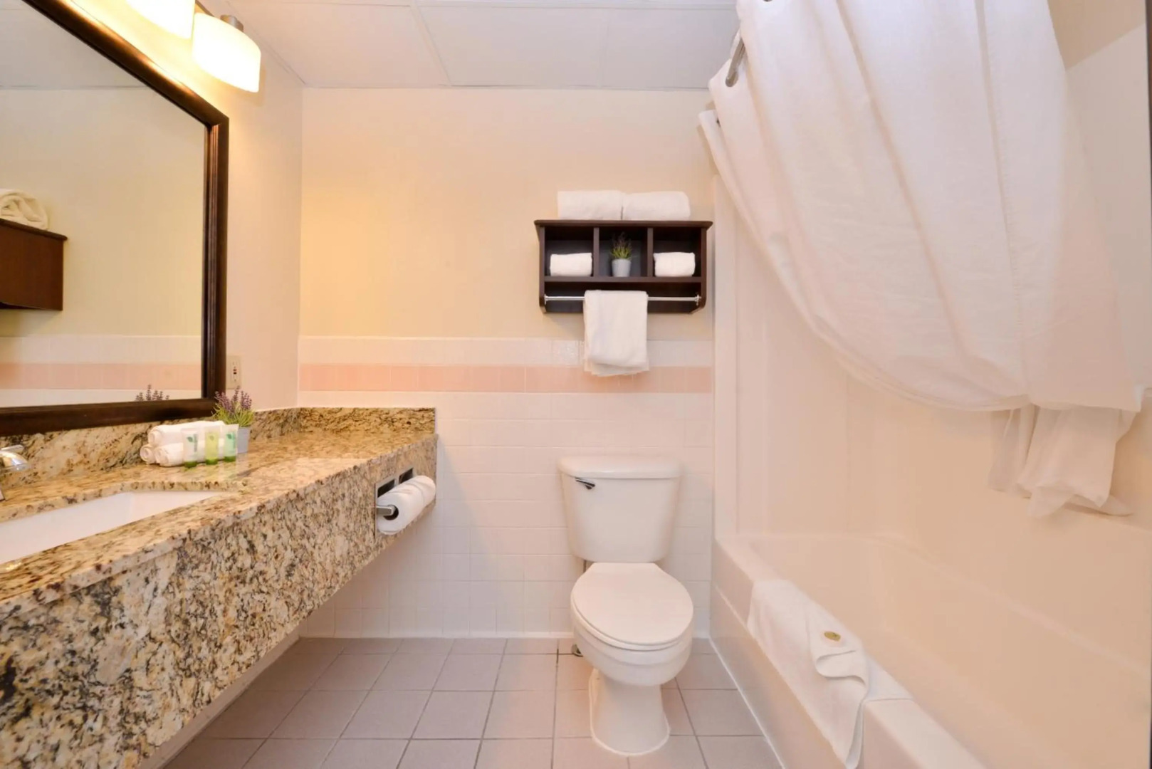 Best Western Plus Sidney Lodge