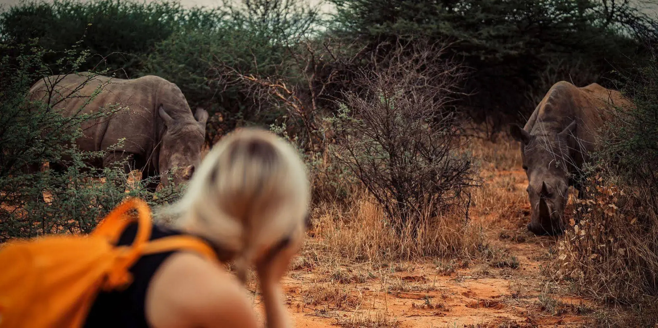 Waterberg Wilderness