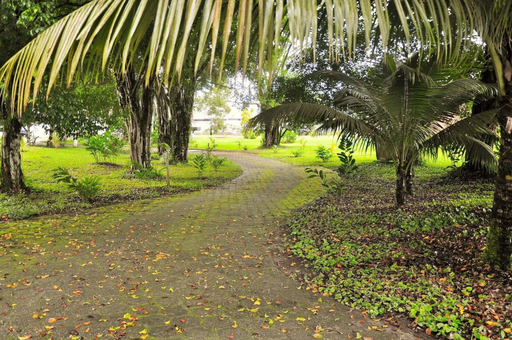 Gran Hotel de Lago - Lago Agrio