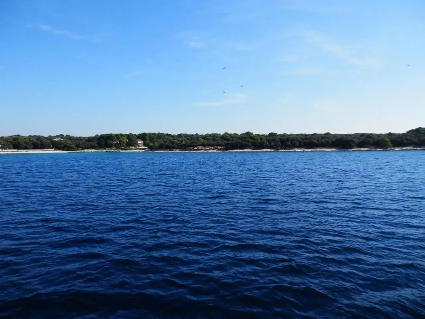 Guest House Tiho 832