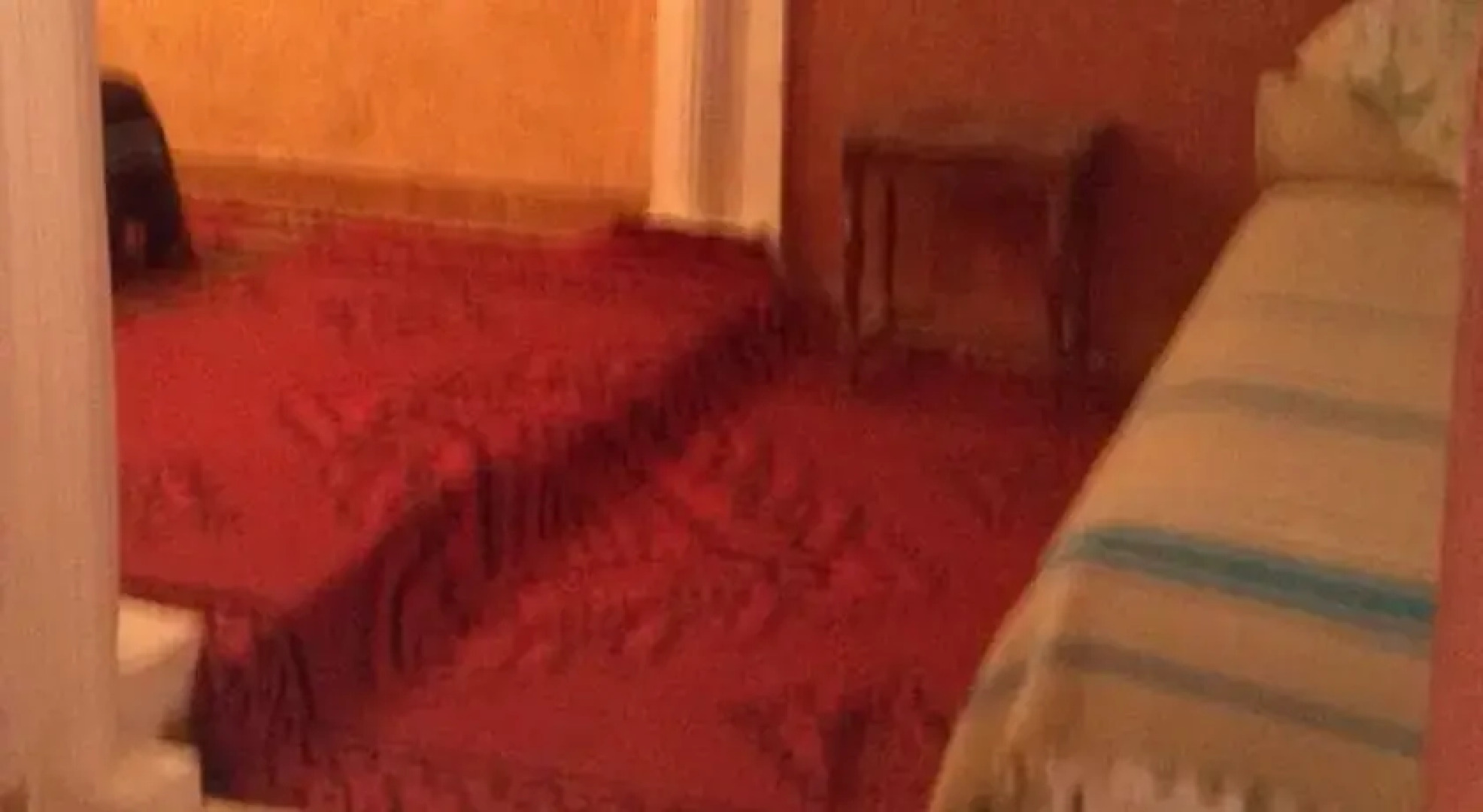 Hotel Rosa Damaskina