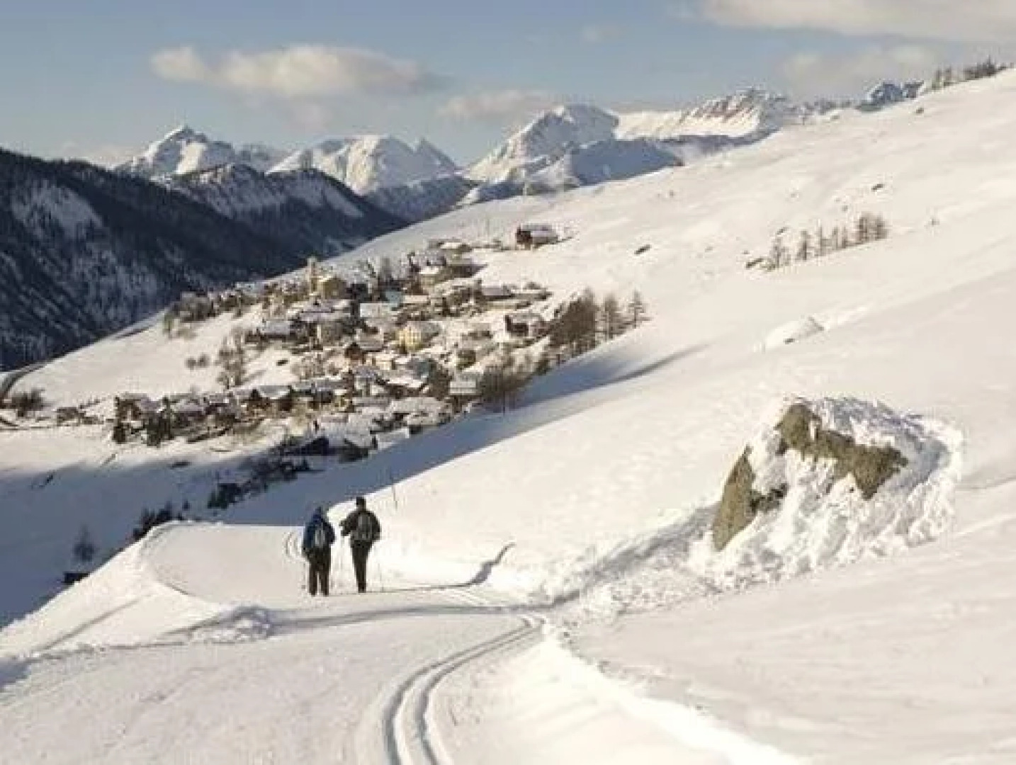 Adonis Molines by Olydea