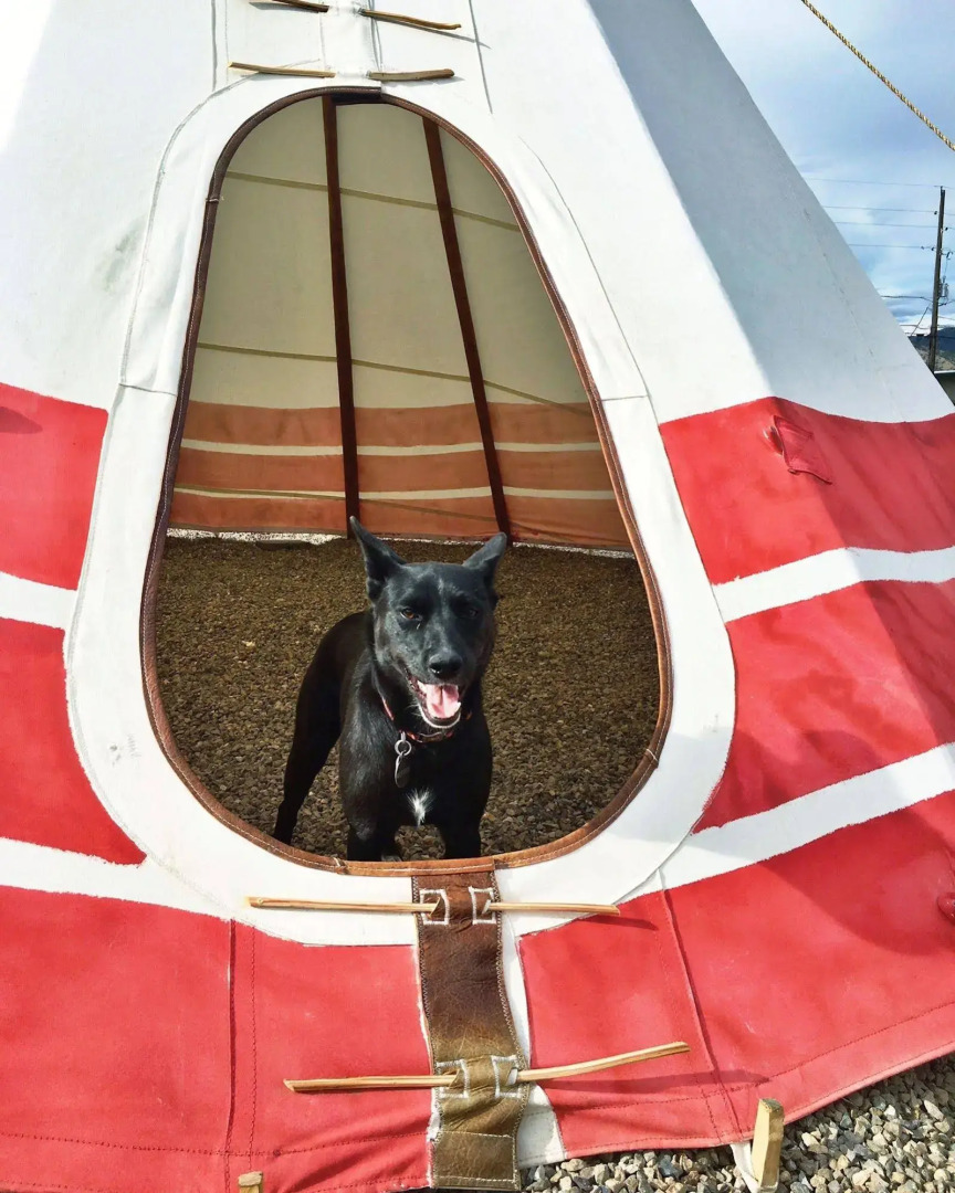 The Amigo Motor Lodge