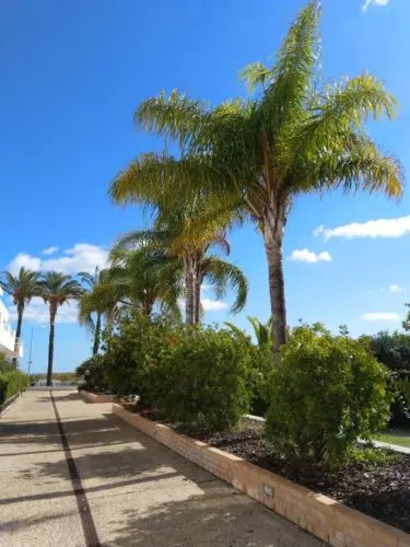 Aldeia Formosa - Cabanas de Tavira