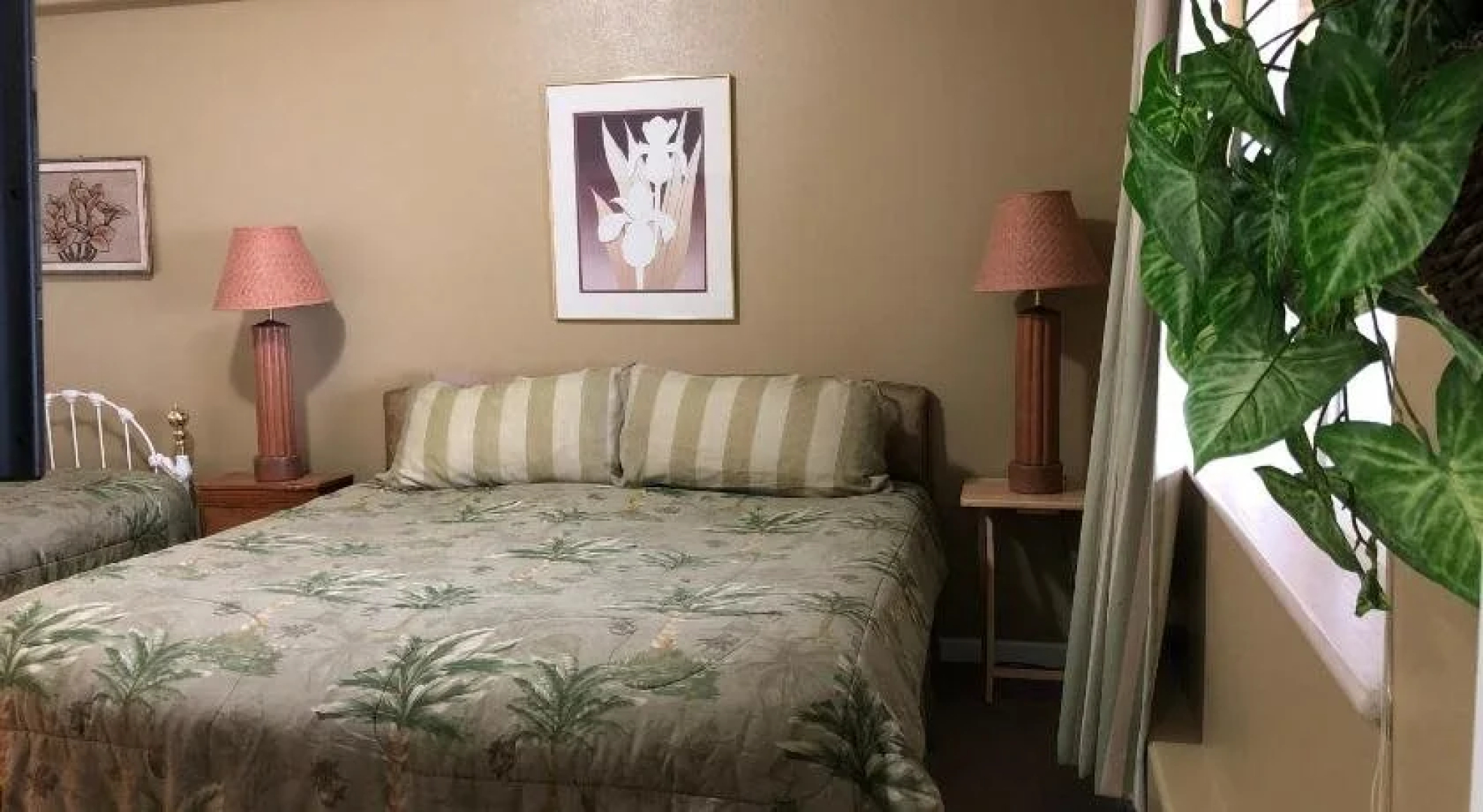 Aloha Bed & Breakfast