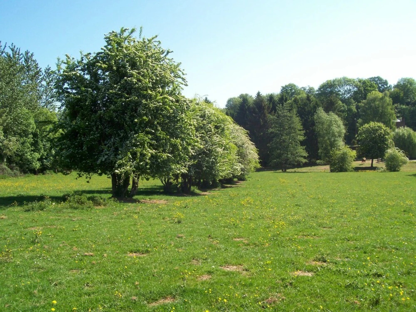 Gîte La Maison Du Prévôt