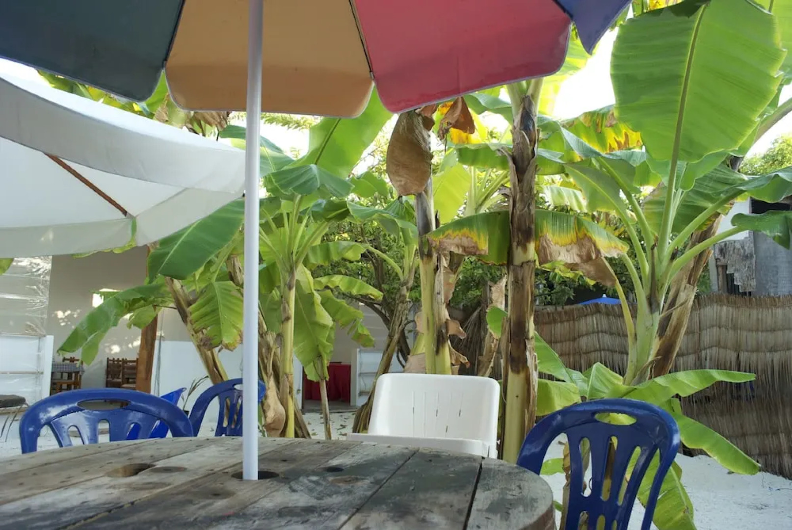 Maldives Seashine Guesthouse