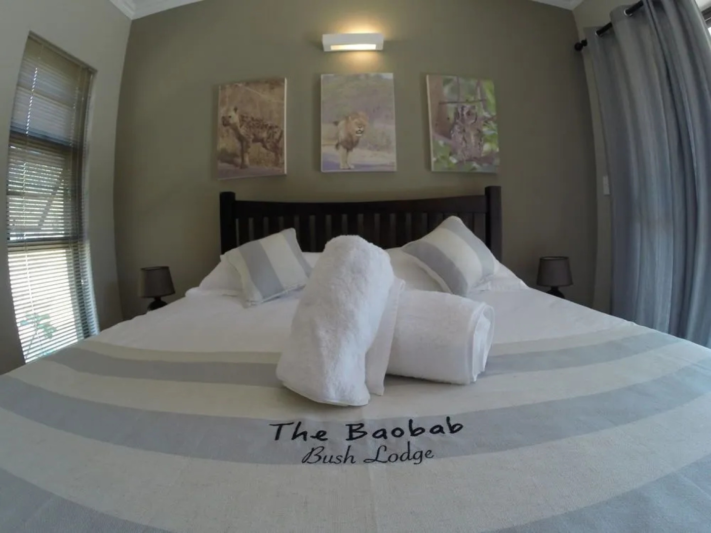 The Baobab Bush Lodge