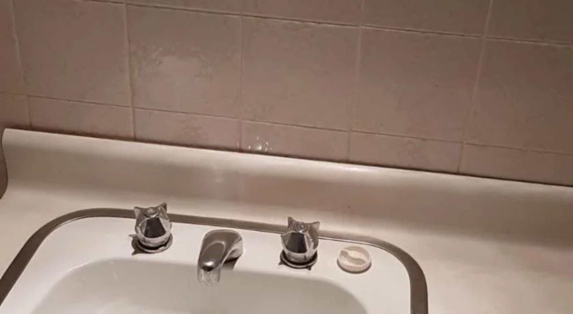 Watagans Forest Motel