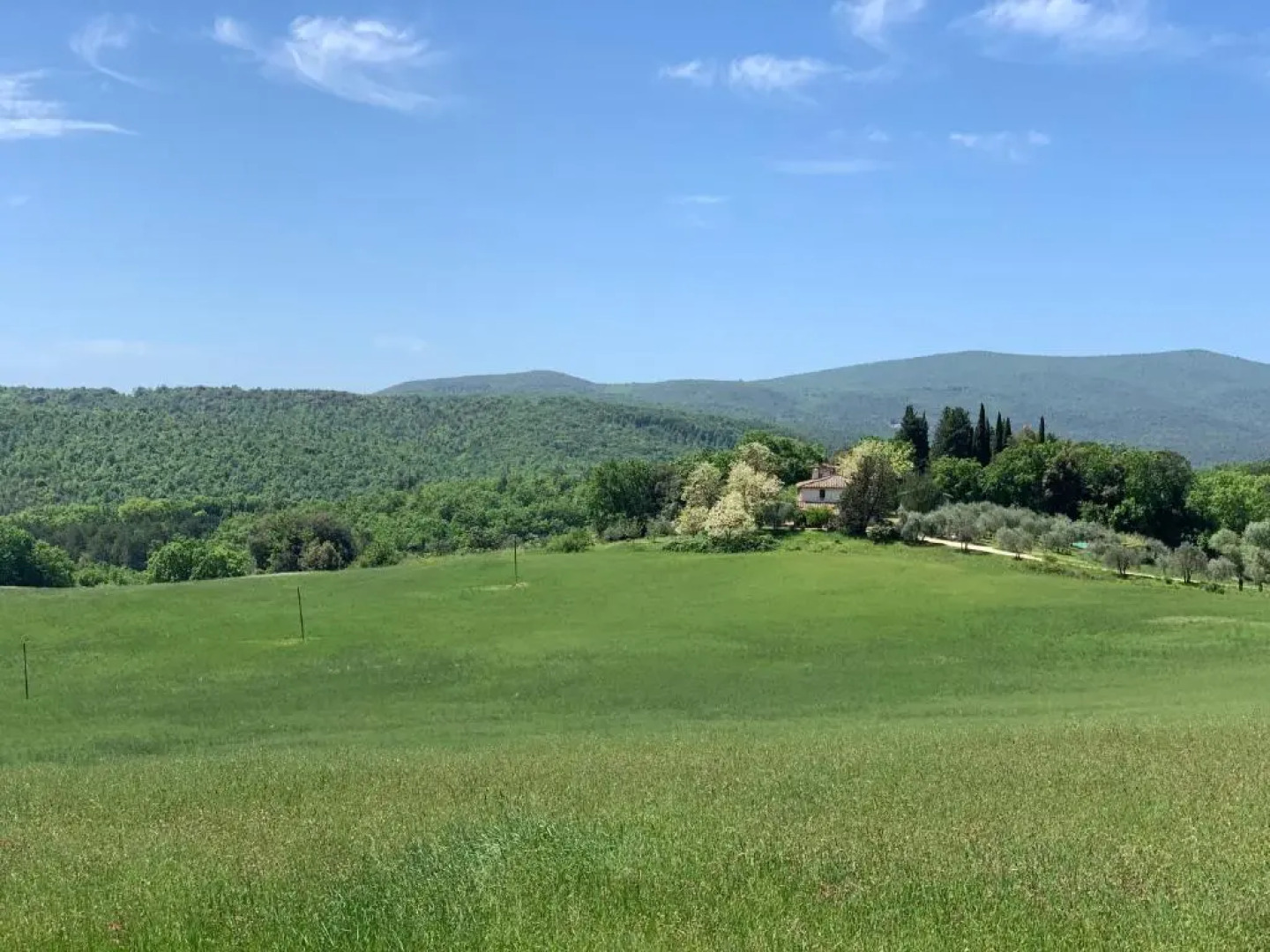 Fattoria Lornano Winery