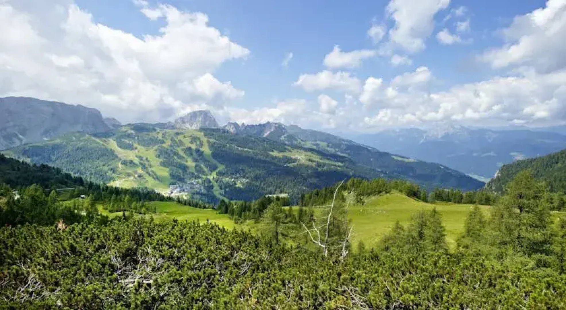 Cosy Flat in the Alps