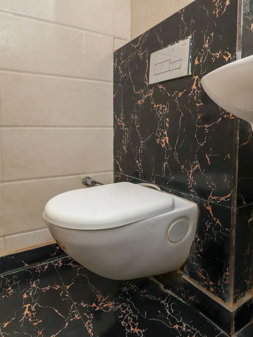 OYO 29389 Delhi Empire