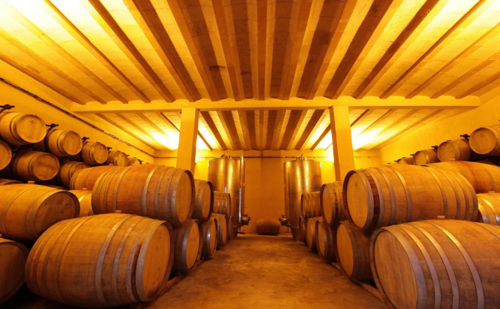 ovineyards b&b carcassonne