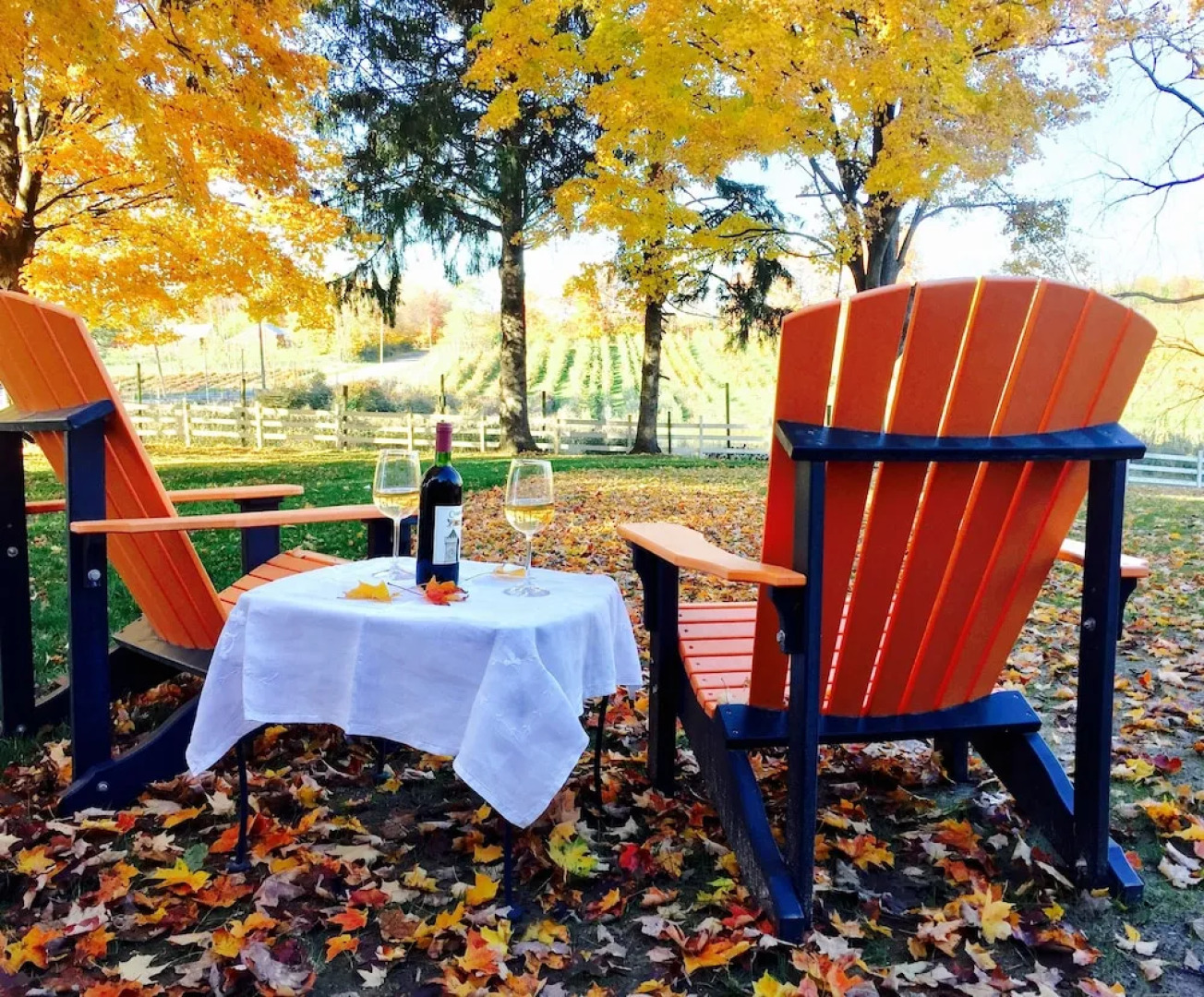 Harvest Bed and Breakfast