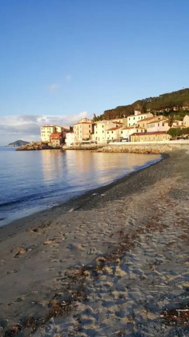 Cotone bilocale 2019