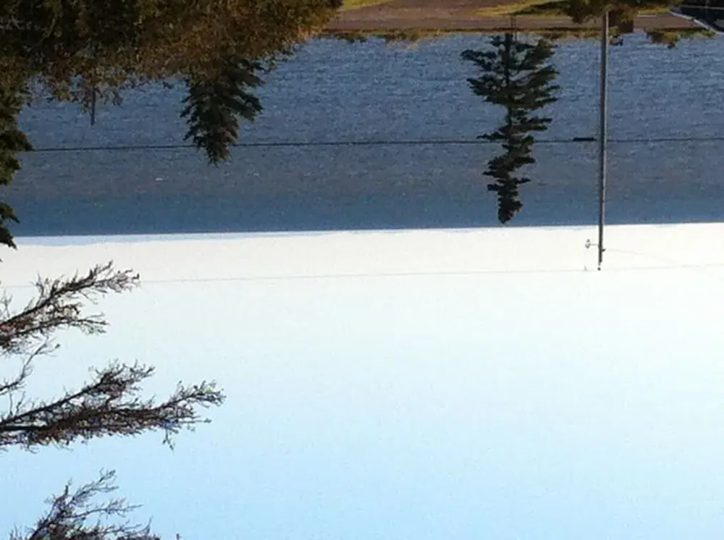 Rocky Shores & Seals Cottages