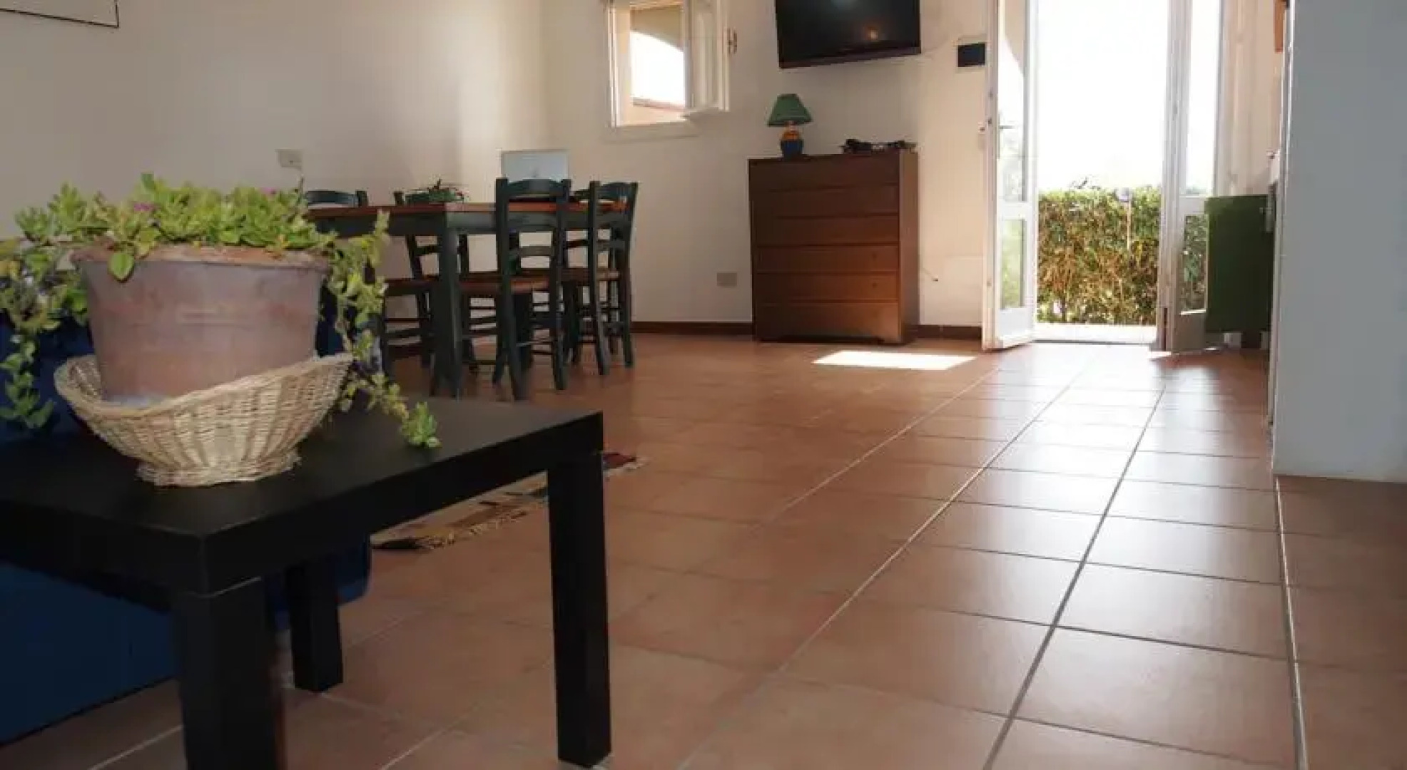 Sun Paradise Apartment