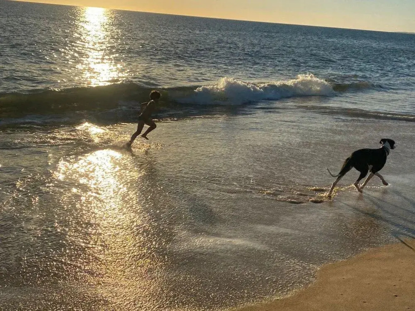 Tiny House Loule Algarve
