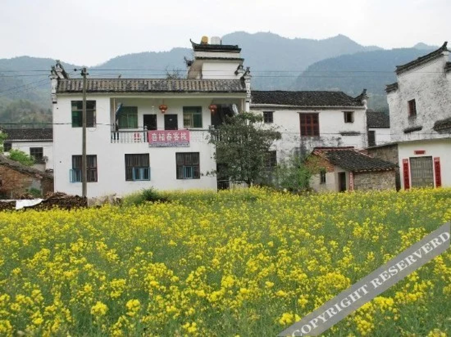 Wuyuan Qingyuan Xifuchun Farmstay