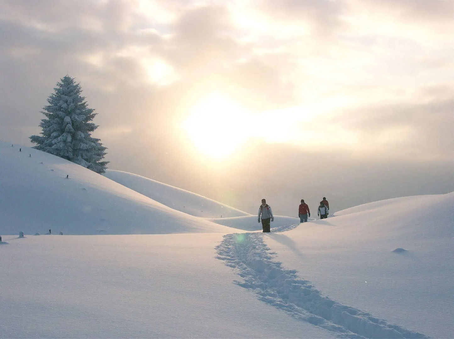 Alpine Lodge Klösterle am Arlberg