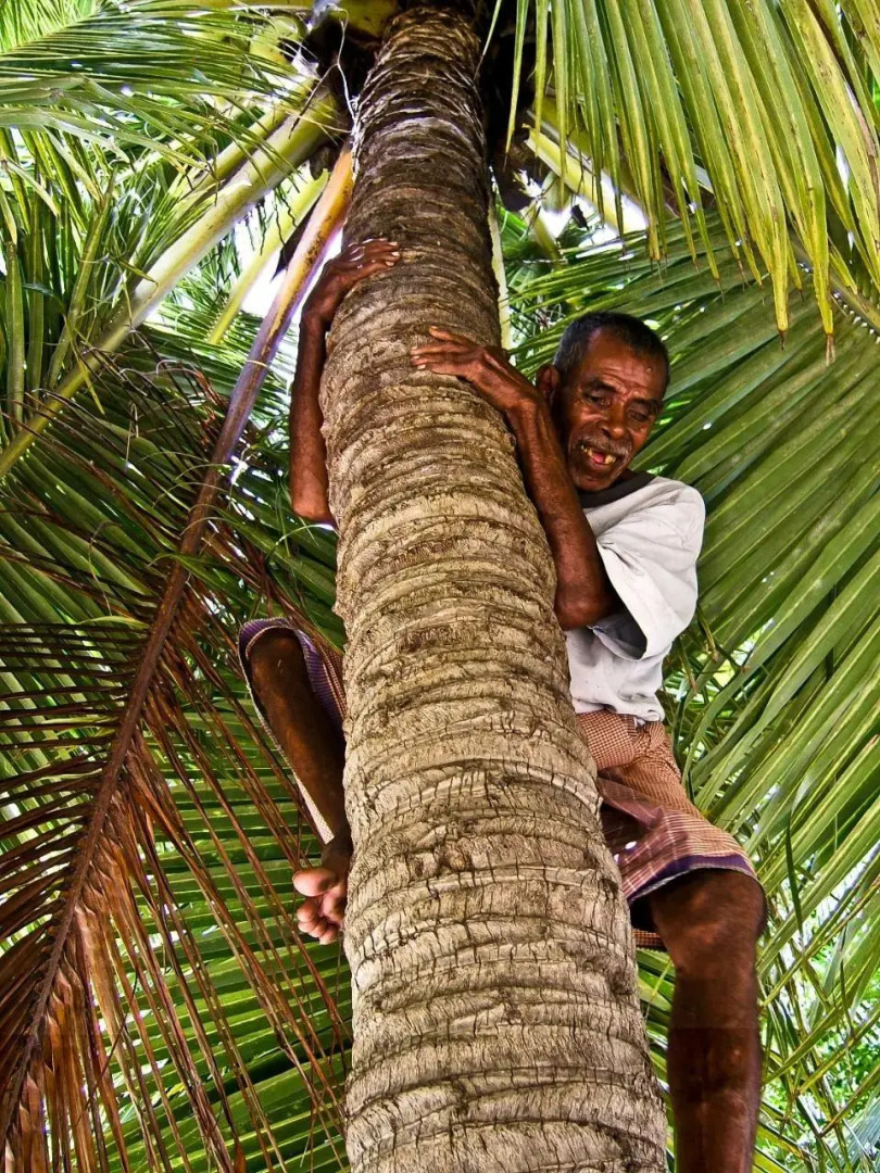 Surf Rote @ Boa Hills Surf House