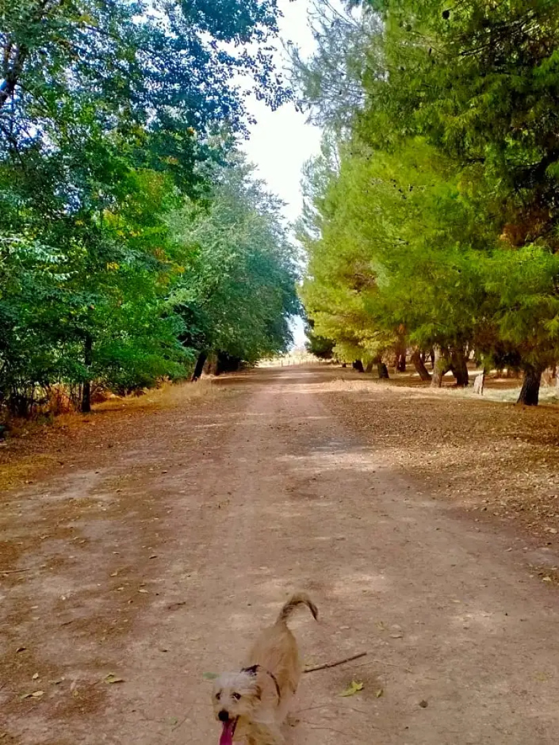 El Refugio Bed & Breakfast