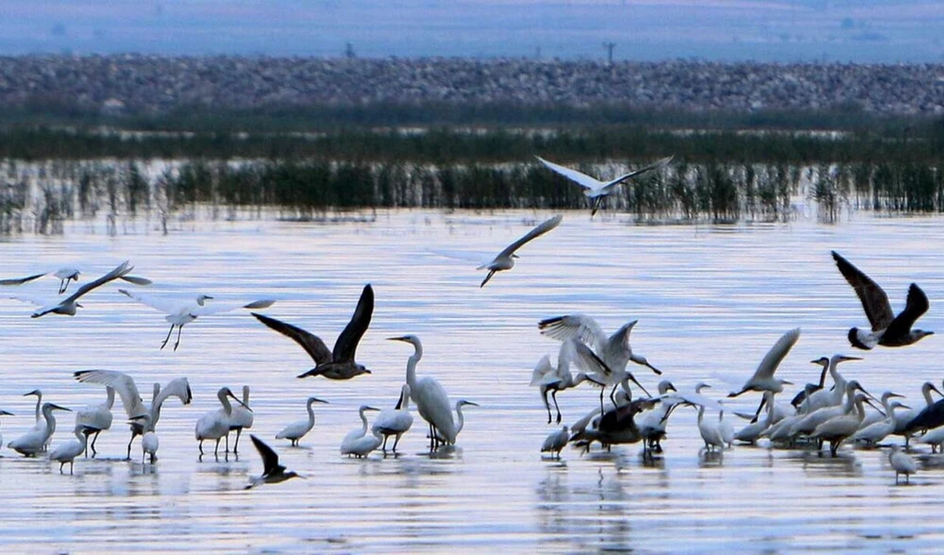 Nikolaou Apartments Ground Floor