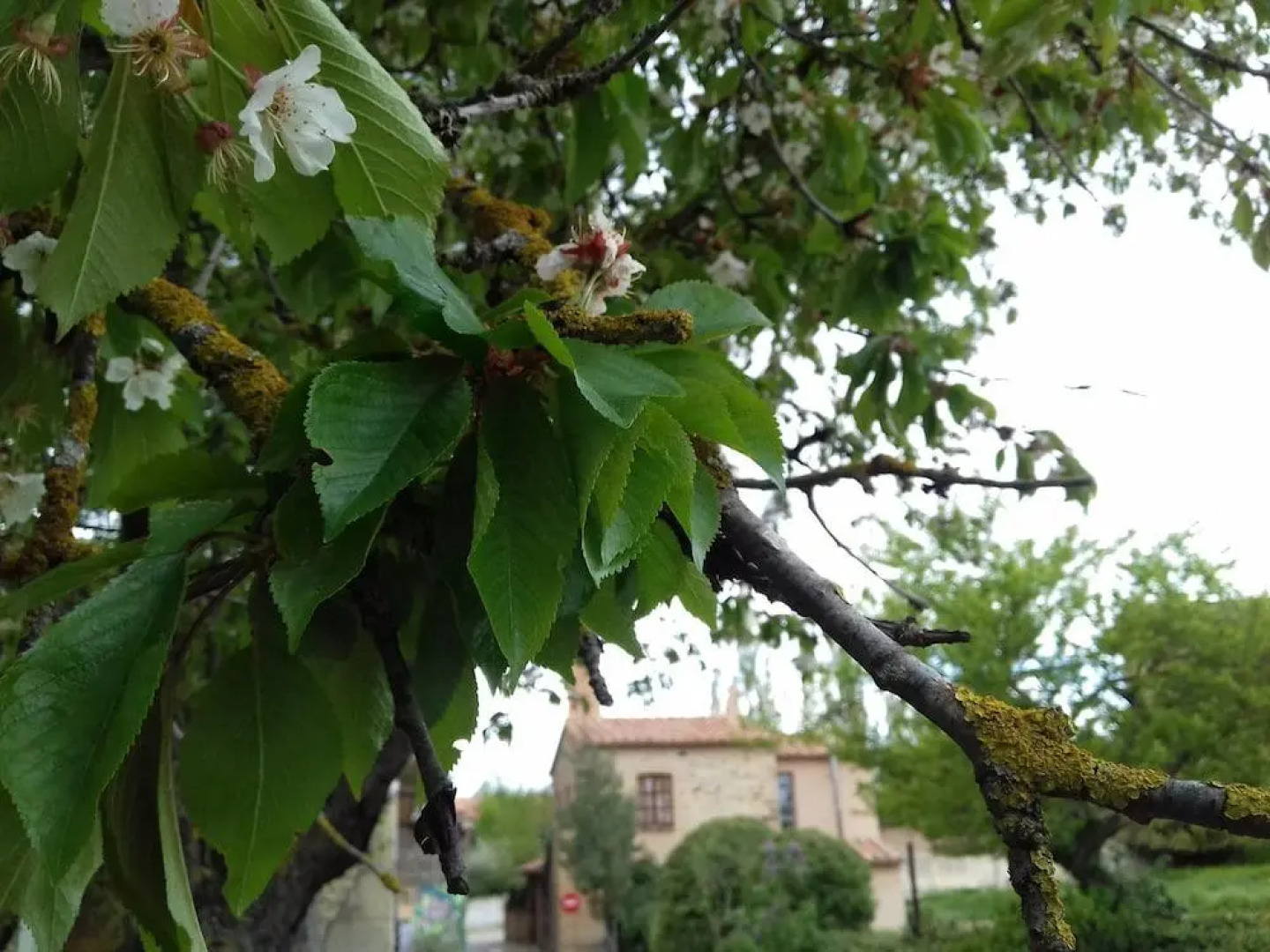 Casa Julián Fábrica Giner