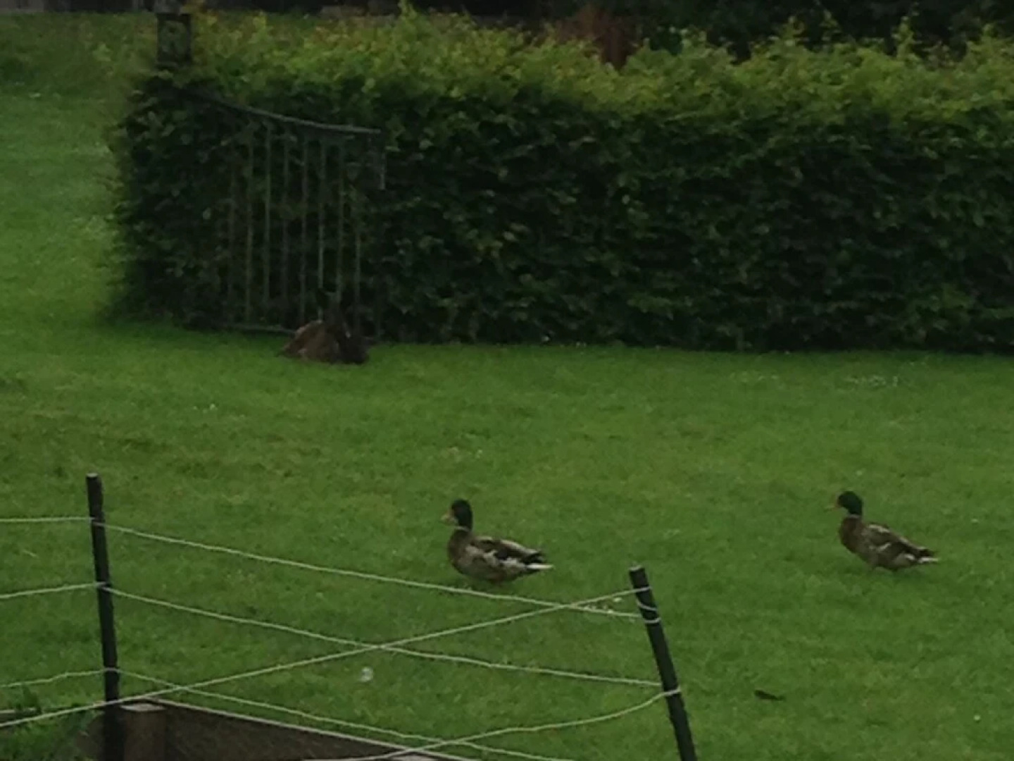 Lavish Holiday Home in Loosdrecht with Hot Tub