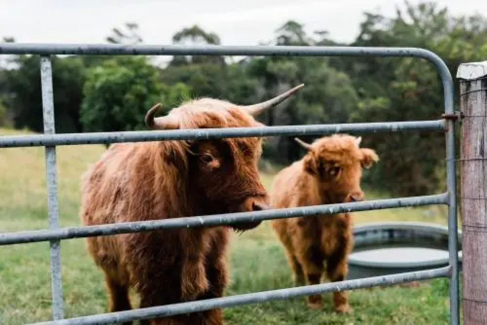 Thirlestane Farm Cottage