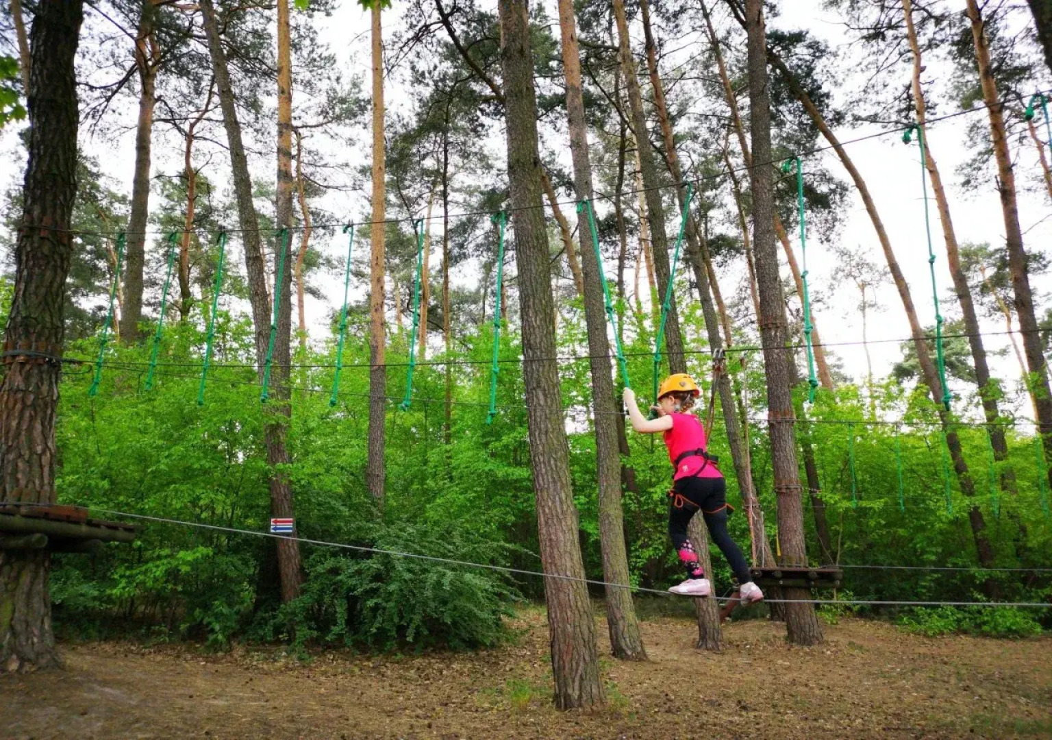 Holiday Inn Resort Warszawa Józefów**** by IHG