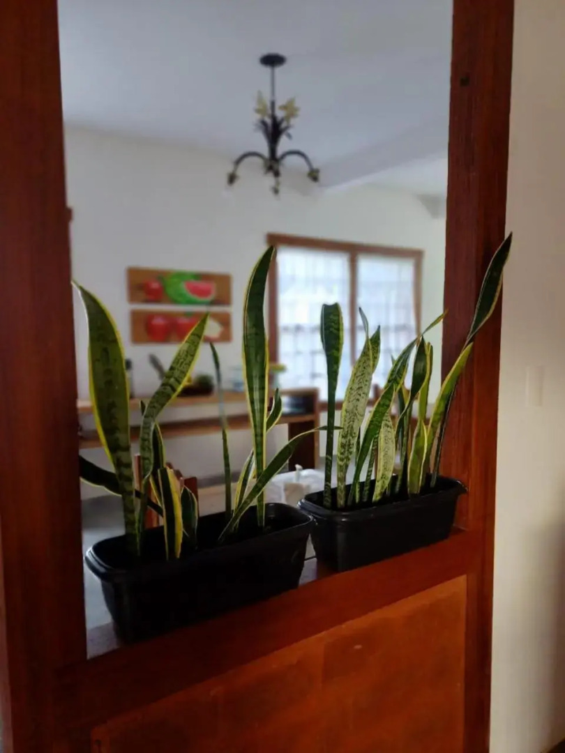 Pousada Pouso das Andorinhas Tiradentes Minas Gerais