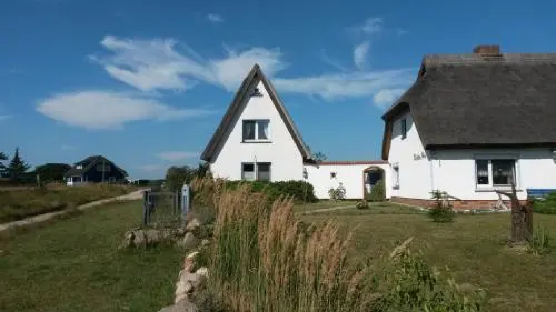 Hagebutte - [#58933]