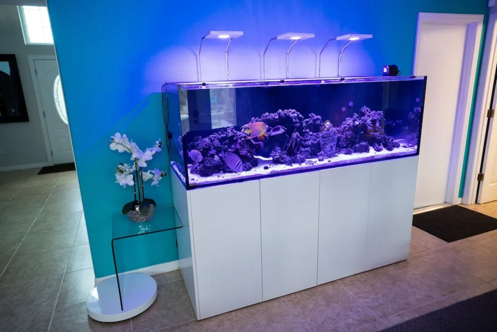 Urban Oasis W/hot Tub, Heated Pool And Private Movie Theater 2 Bedroom Home by RedAwning