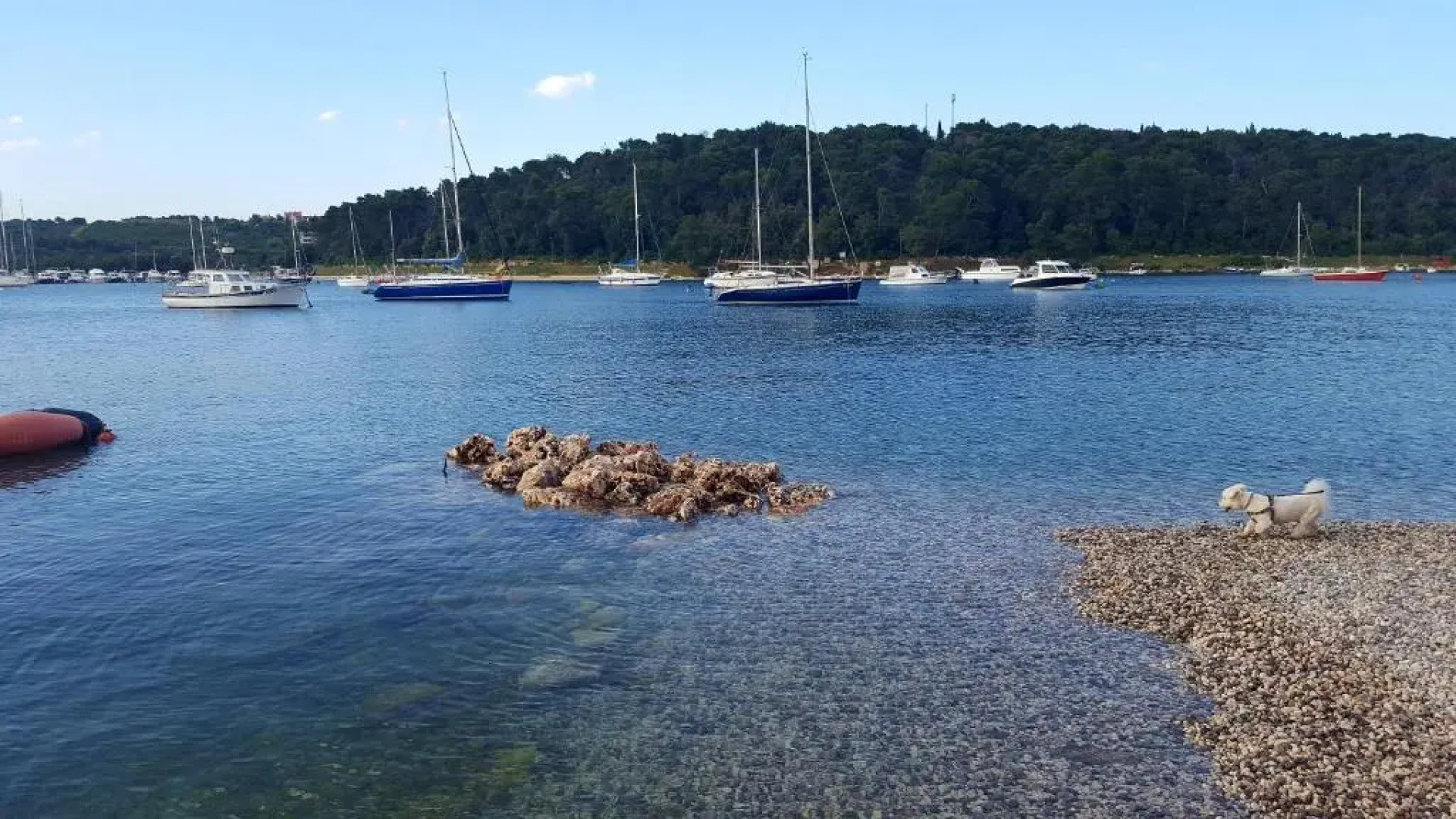 Bed & Breakfast Banjole