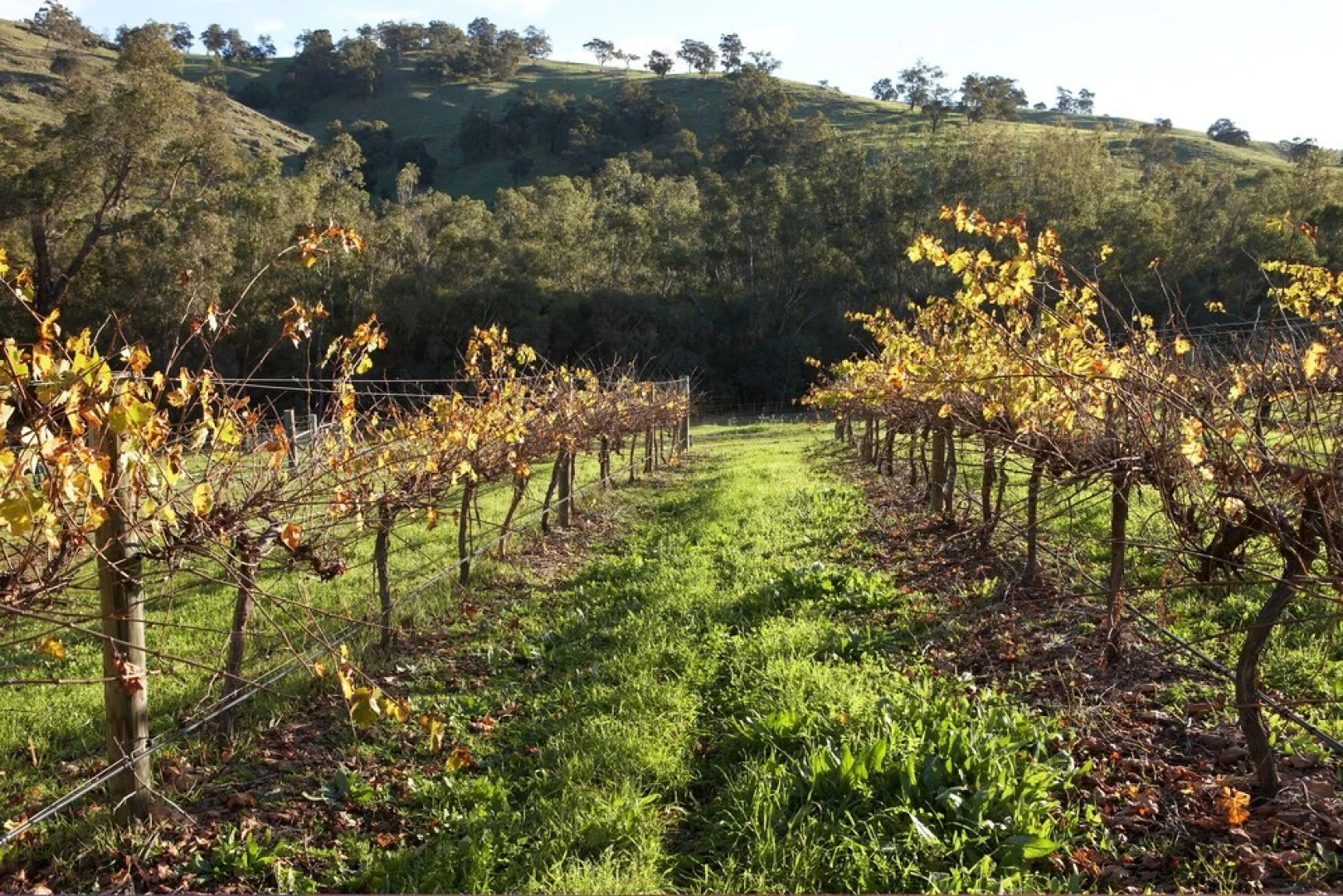 Brockman Park Estate