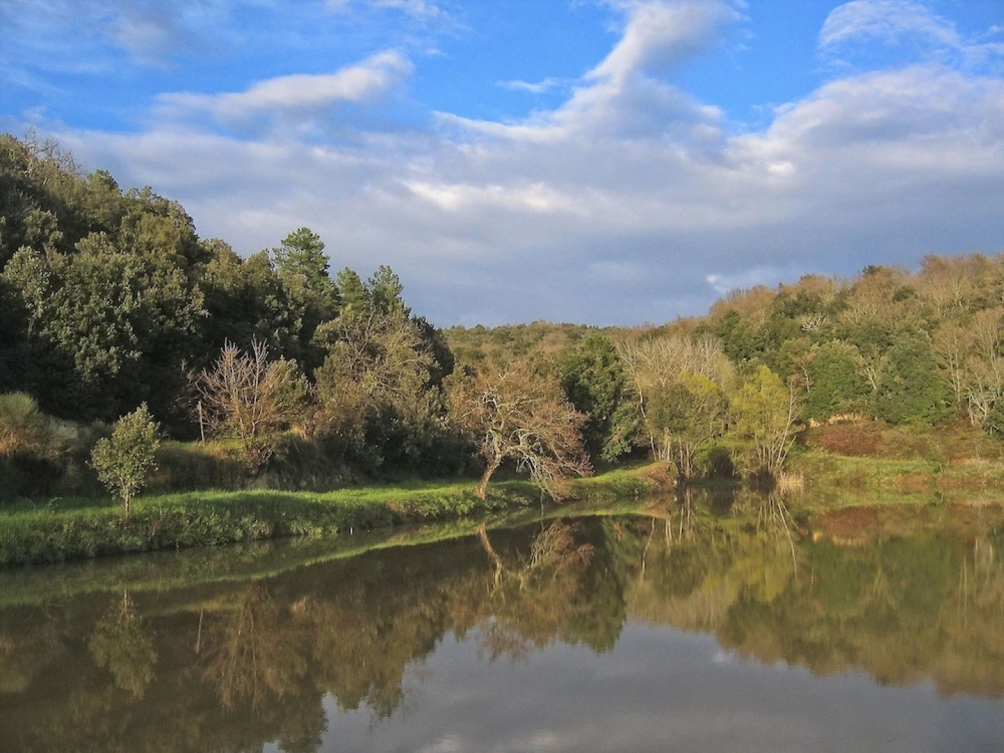 Pleasant Farmhouse in Rapolano Terme With Swimming Pool