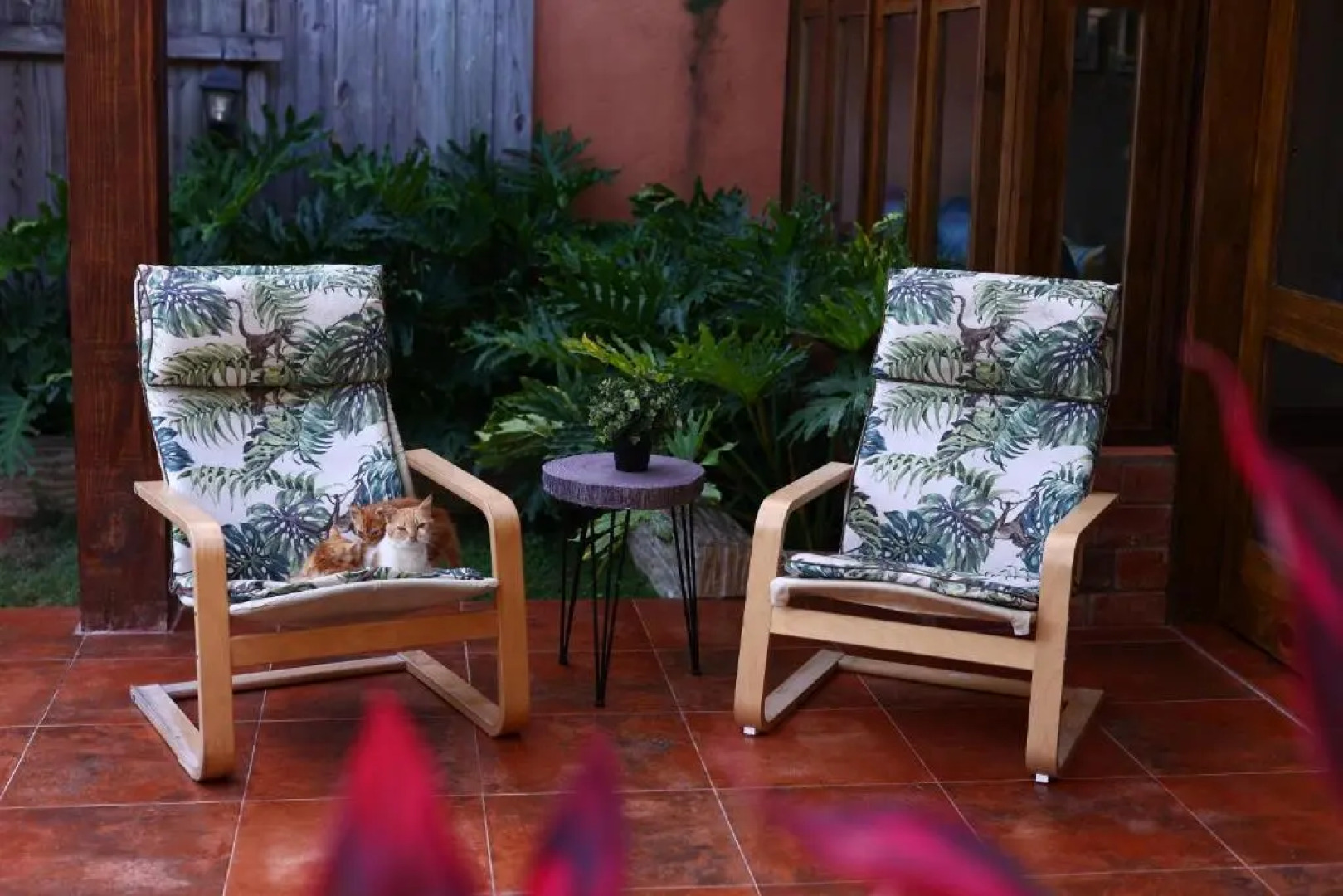 New! Gorgeous villa in Jarabacoa with private jacuzzi