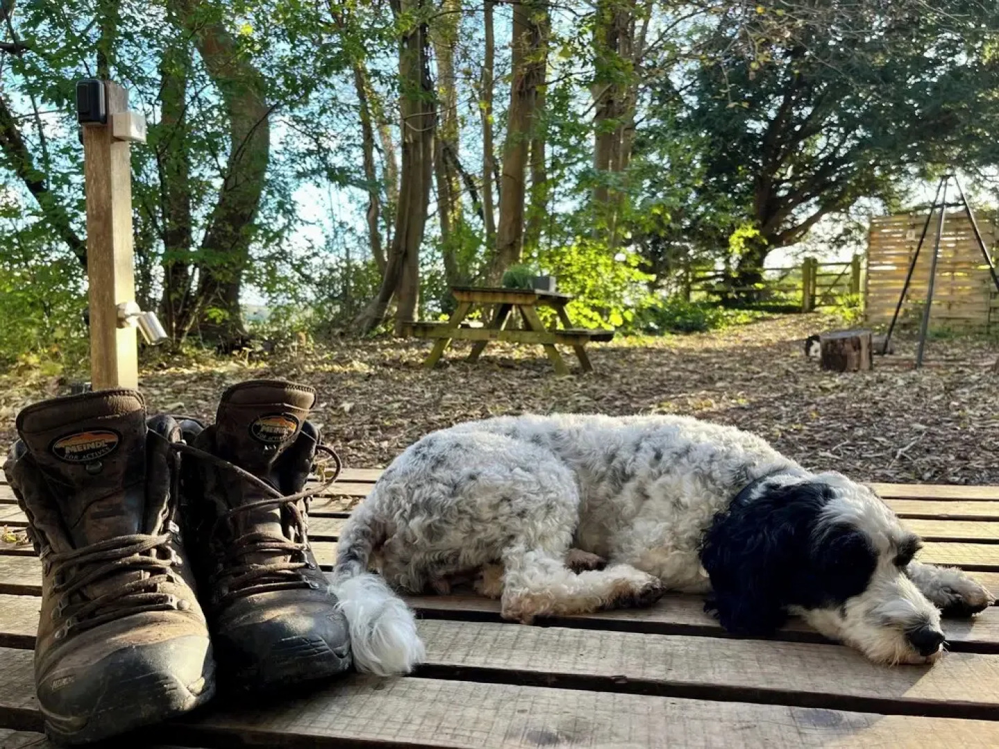 Woodland Cabin Retreat in Alfriston - hot tub