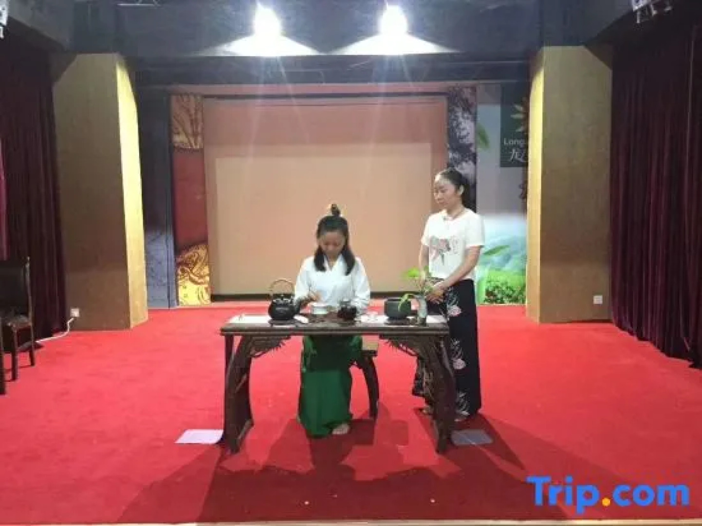 Pu'er Tea Garden Resort Hotel(Pu'er Tea Expo Garden)