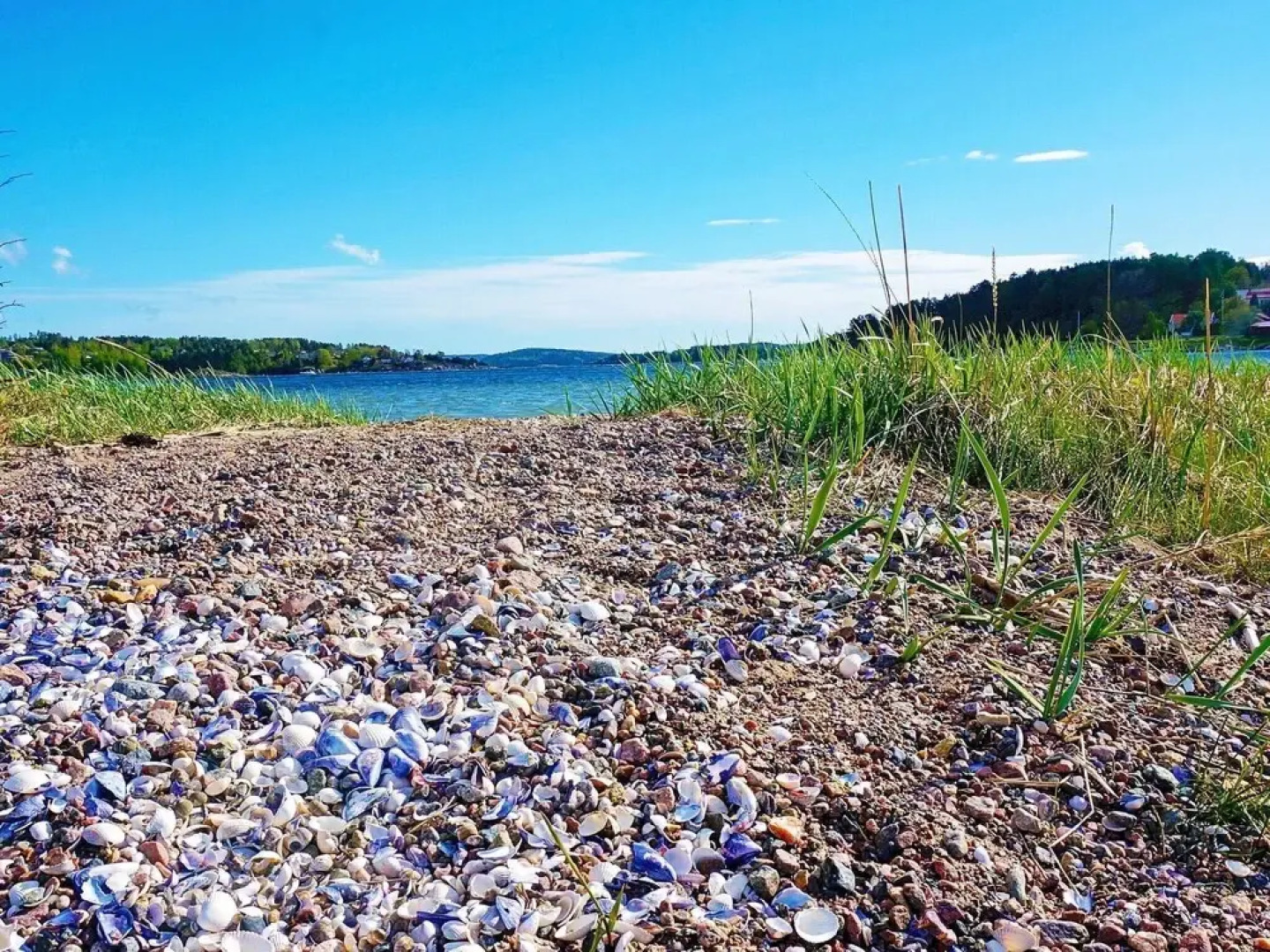 4 Person Holiday Home In Ljungskile