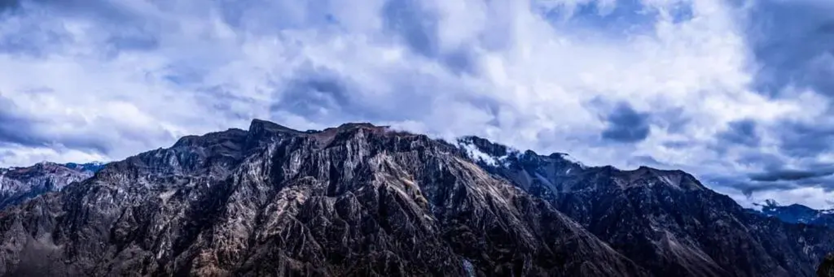 Las Palmeras Eco Hostel