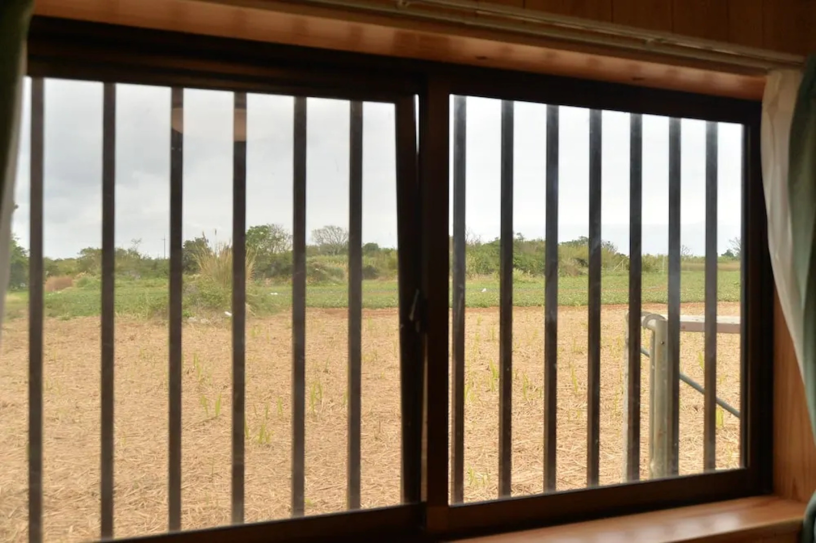 star light terrace TERUYA