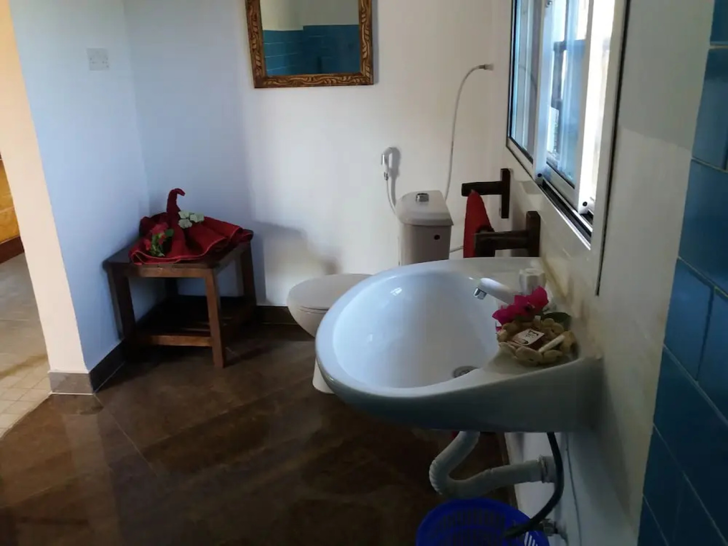 Zanzibar Blue Dolphin Bay