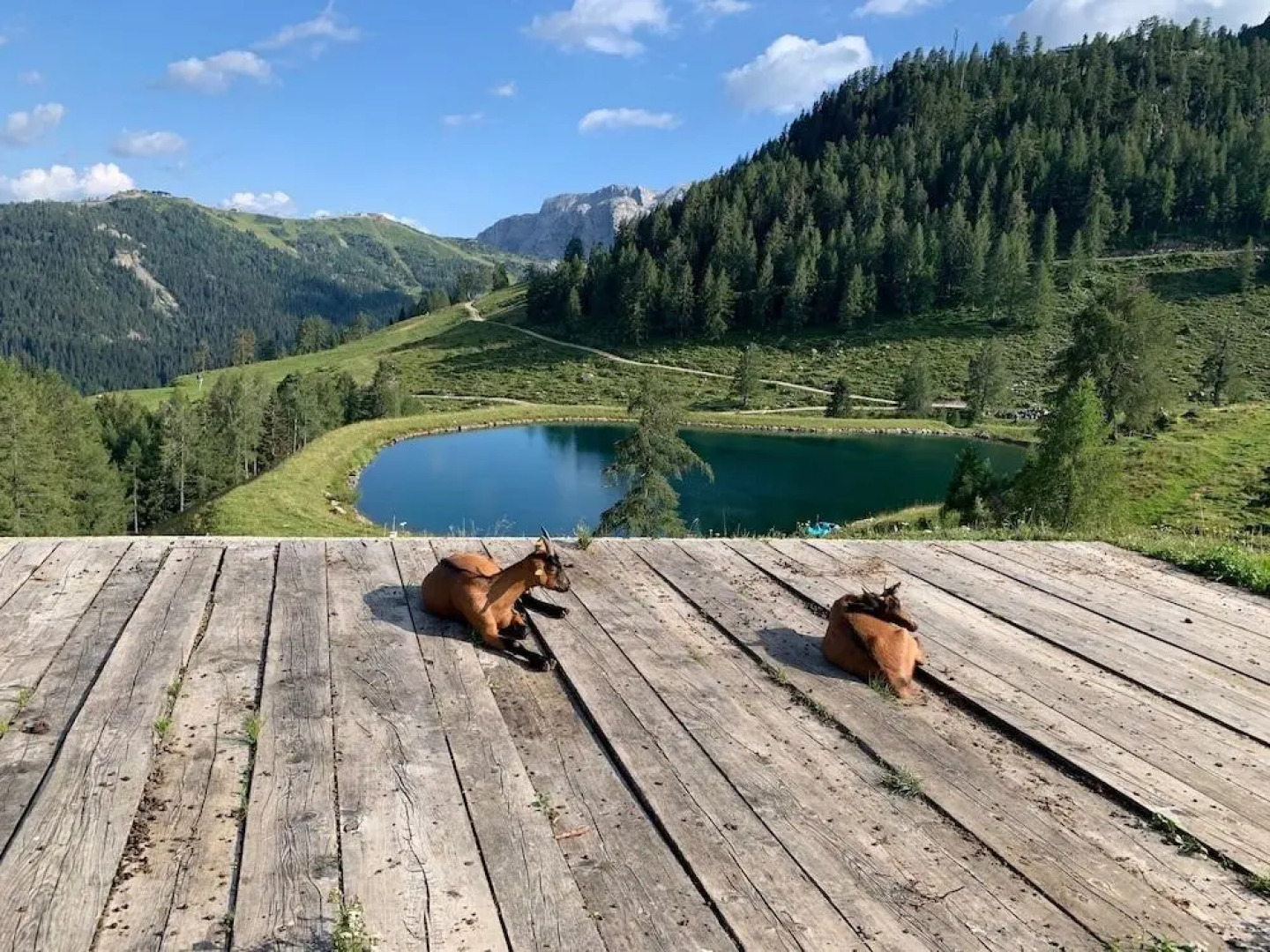 Chalets Und Apartments Hauserhof
