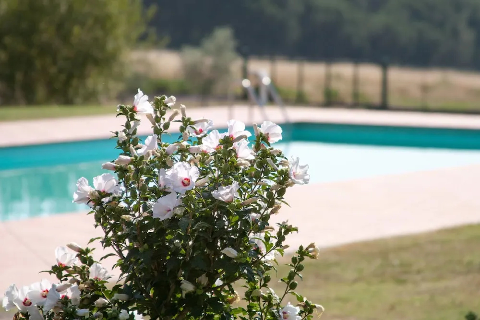 Agriturismo Brolio Quinto