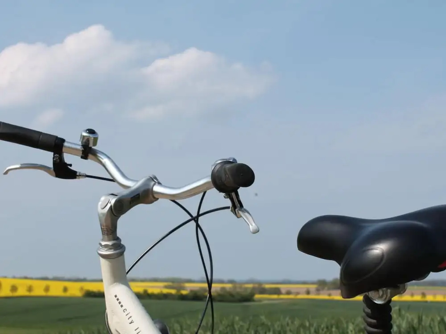 Wohnung mit Terrasse in Warnkenhagen