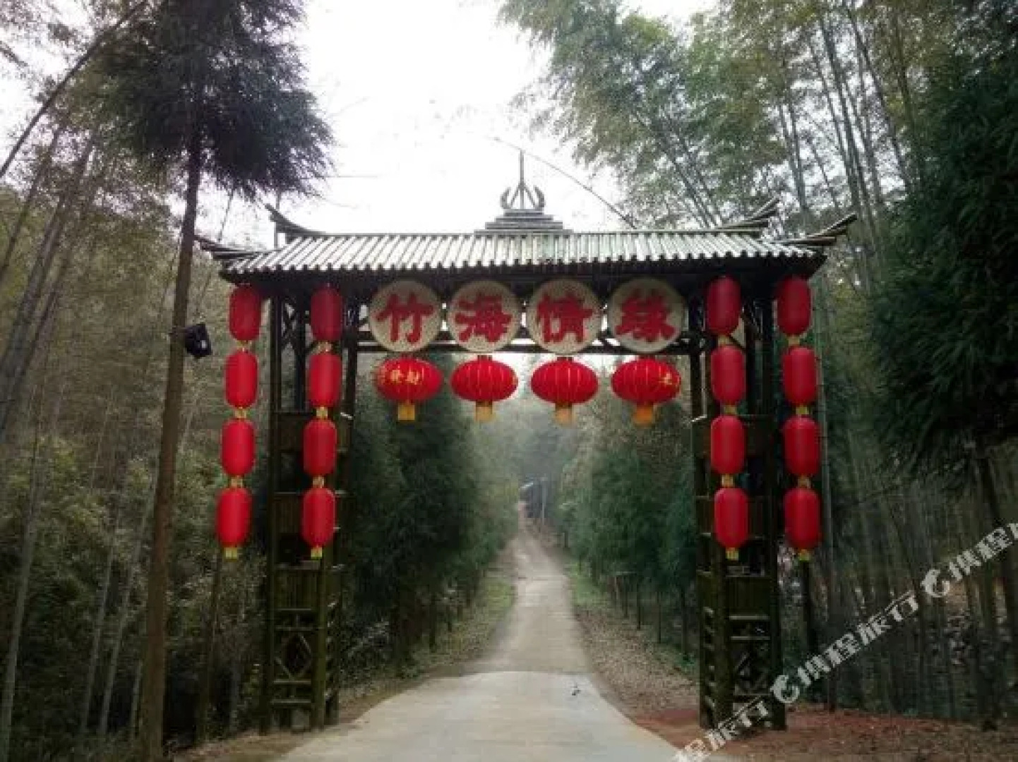 Southern Sichuan Bamboo Sea Qingyuan Homestay