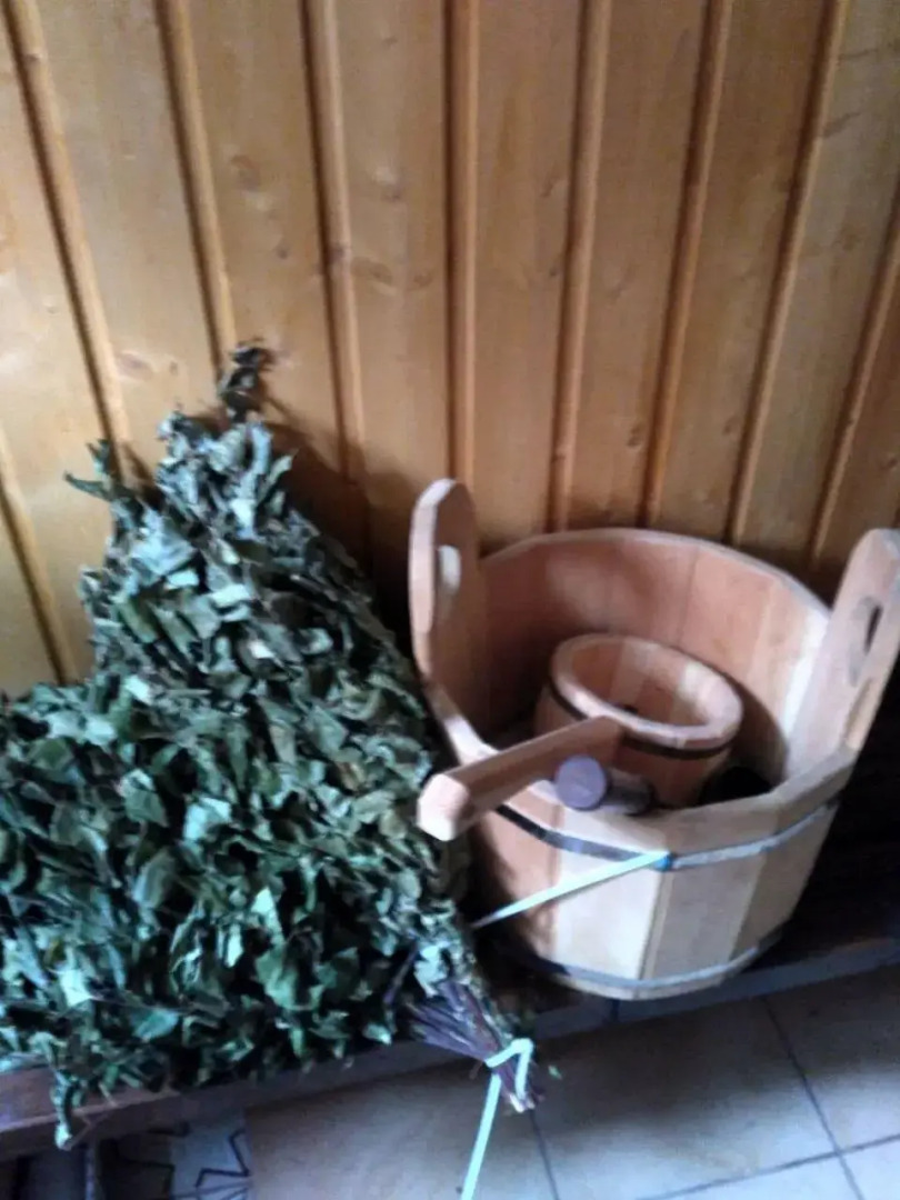 Коттедж Ветрово