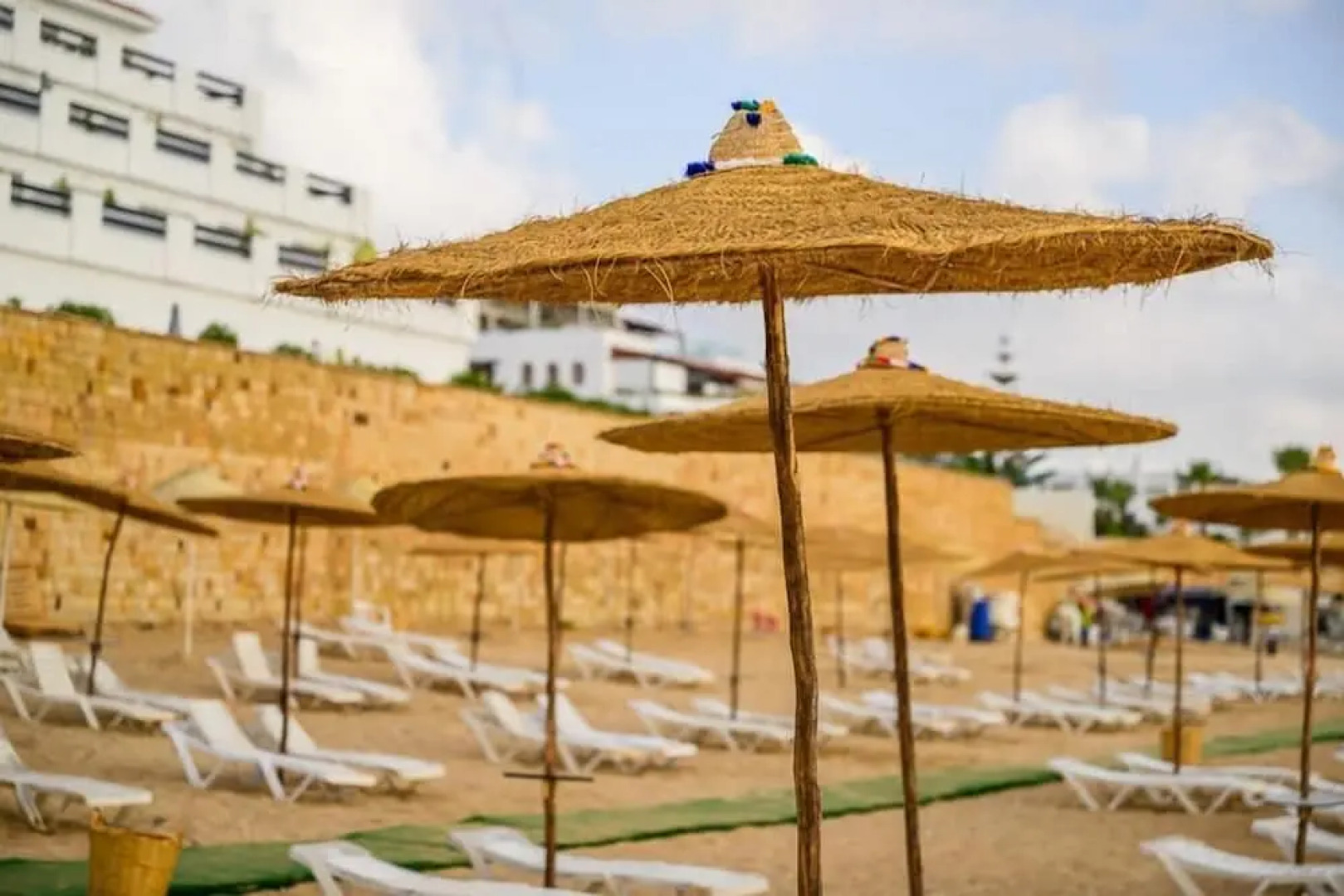 Playa Del Pacha Suites Hotel